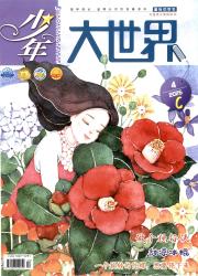 《少年大世界:初中生》